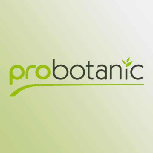 Logo 6